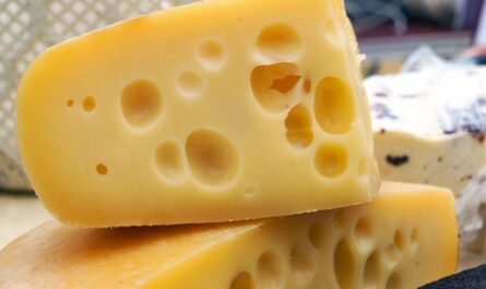 12 Varieties of Swiss Cheese and Their Nutritional Properties