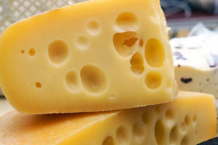 12 variétés de fromages suisses et leurs propriétés nutritionnelles