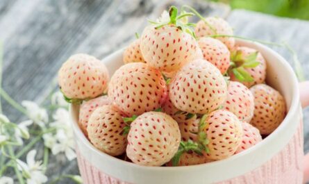 What Are Pineberries? A Nutritional Guide