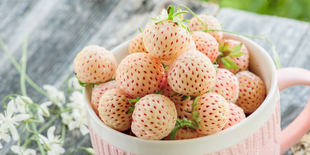 What Are Pineberries? A Nutritional Guide