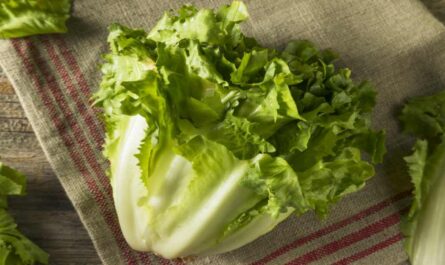 5 Benefits of Escarole (With Full Nutrition Facts)