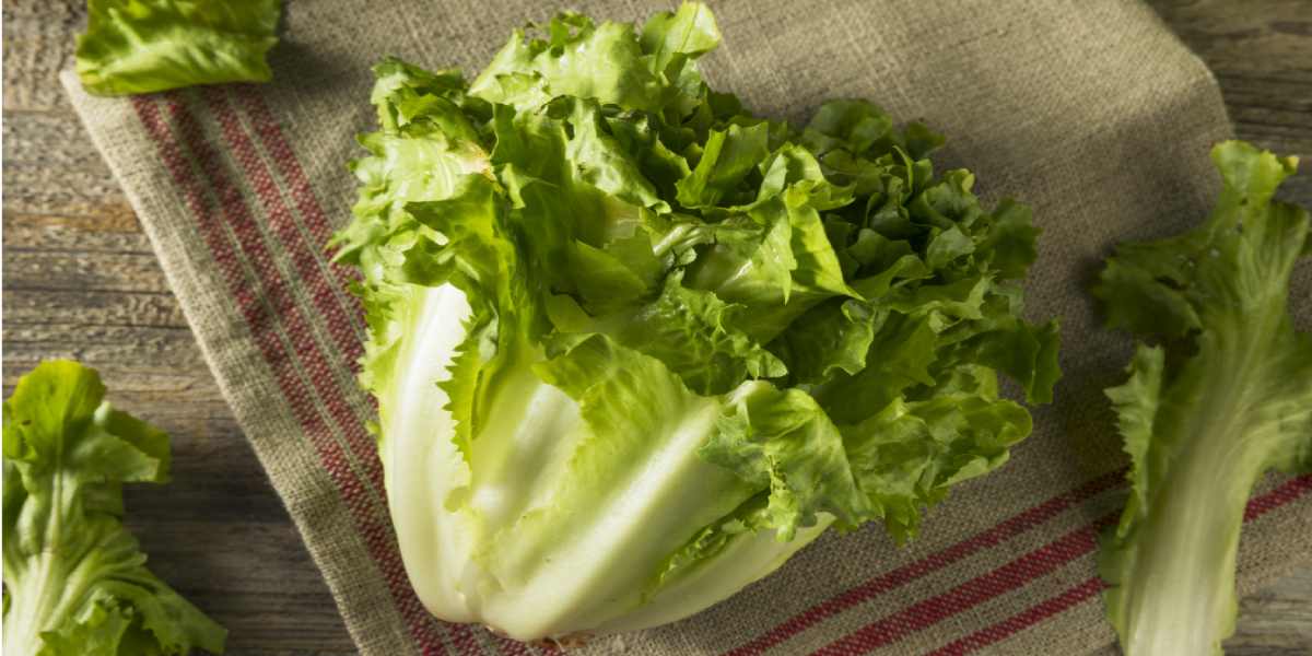 5 Benefits of Escarole (With Full Nutrition Facts)