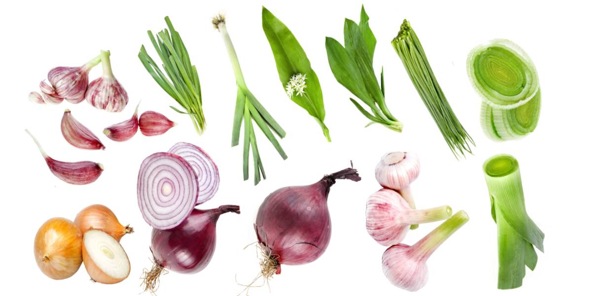 A List of Allium Vegetables and Their Nutritional Benefits