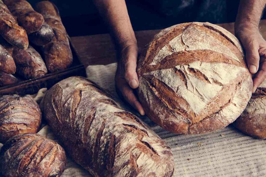 Plusieurs miches de pain au levain fraîchement préparé.